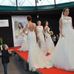 Hochzeits- & Festmesse bei Mercedes-Benz Ostendorf in Ahlen